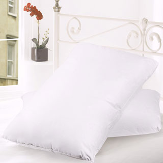 Goose Feather and Down 300 Thread Count Pillow (Set of 2)