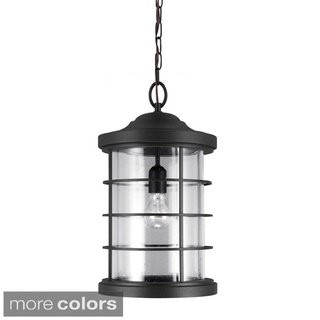 Sauganash 1-light Clear Seeded Glass Outdoor Pendant