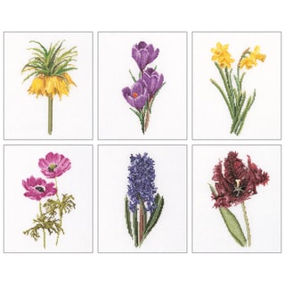Floral Studies 3 On Aida Counted Cross Stitch Kit-6-3/4"X8" 18 Count Set Of 6