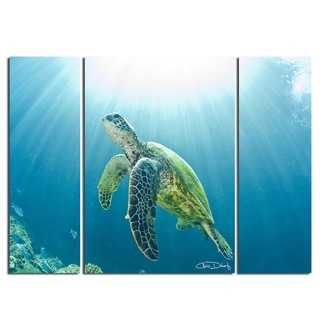 Christopher Doherty 'Sea Turtle' Canvas Wall Art (3 Piece)