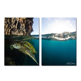 Christopher Doherty 'Sea Turtle' Canvas Wall Art (2 Piece)