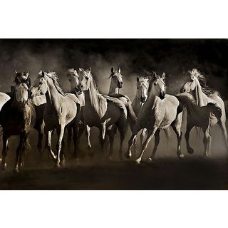 Lisa Dearing 'Dream Horses' Canvas Art