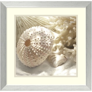 Donna Geissler 'Coral Shell I' Framed Art Print 18 x 18-inch