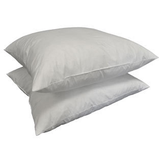 Euro Square 24 x 24-inch Feather Pillow Insert (Set of 2)