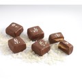 Amella Gray Sea Salt Caramels in Milk Chocolate (Case of 15)