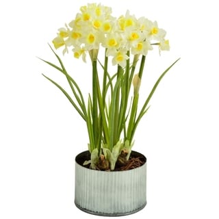 Faux Daffodils in Metal Planter