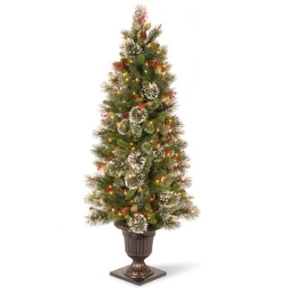 5-foot Wintry Pine Entrance Tree with 100 Clear Lights