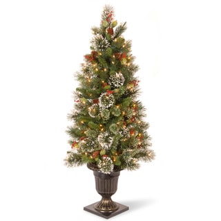 Wintry Pine 4-foot Entrance Tree with Clear Lights