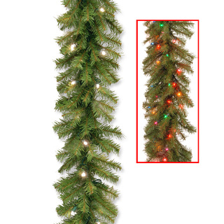 Norwood Fir 9-foot Garland with 50 Dual Warm White/ Multi Battery Operated LED Lights and Timer