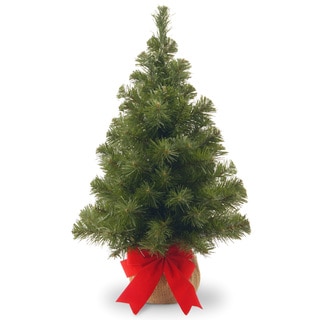 2-foot Noble Spruce Tree with Burlap Bag