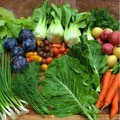 Freshness Farms Family Fruit and Vegetable Bundle
