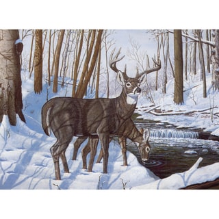 Paint By Number Kit 15.375"X11.25"-Winter Bliss