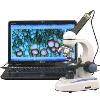 AmScope 40x-1000x Microscope with USB Digital Camera
