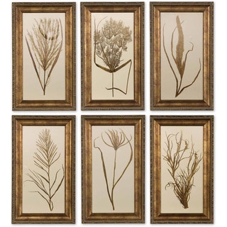 Uttermost Framed Wheat Grass (Set of 6)
