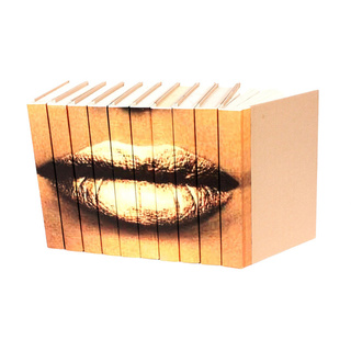 Lips Gold Decorative Books (Set of 10)
