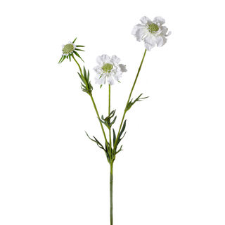 28.5-inch Scabiosa Spray (Pack of 6)