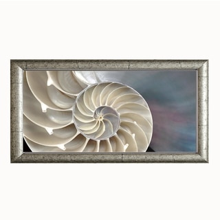 Andrew Levine 'Nautilus' Framed Artwork