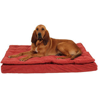 Carolina Pet Co. Luxury Pillow Top Mattress Dog Bed