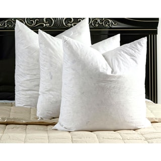Hybrid Euro Square Cotton Pillow (Set of 2)