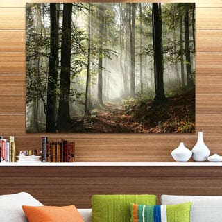 Light in Dense Fall Forest with Fog - Landscape Canvas Art Print
