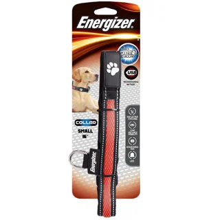 Energizer Blaze Rechargeable LED Dog Collar