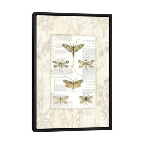 iCanvas "Dragonfly Botanical " by Sue Schlabach Framed Canvas Print