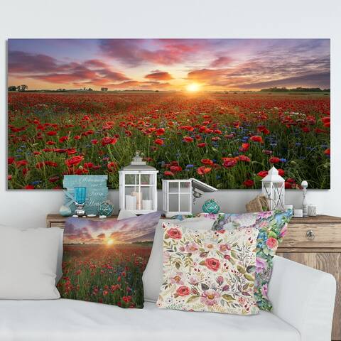 Designart 'Sunrise Of Blossoming Poppie Field' Floral Canvas Art Print