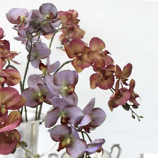 G Home Collection Luxury Real Touch Butterfly Orchid Stem in Light Purple and Yellow Purple 29" Tall