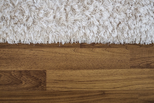 Shag rug edges on wood floor