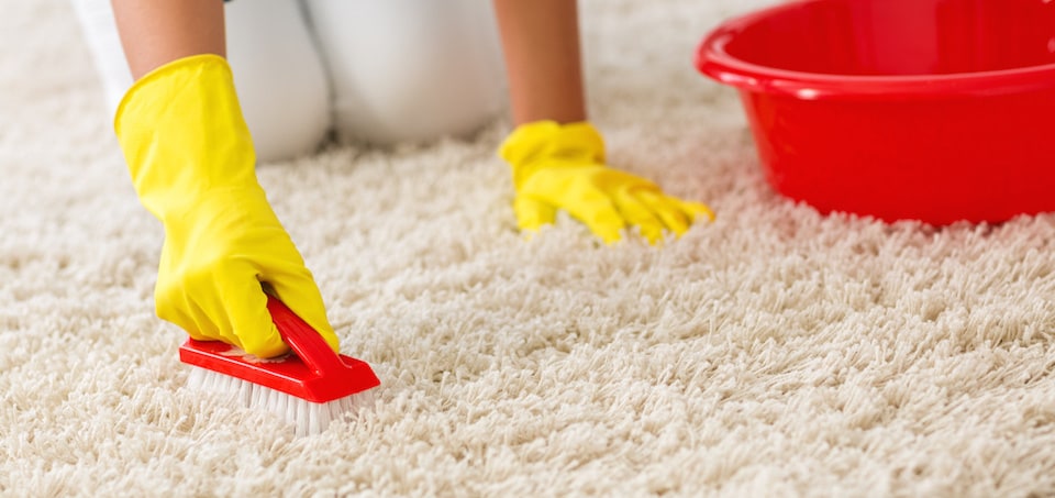 Woman Cleaning Carpets
