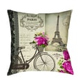 Springtime in Paris Bicycle Decorative Throw Pillow
