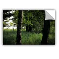 ArtWall Kevin Calkins ' Birch And Pines ' Art Appeals Removable Wall Art