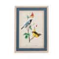 Bassett Mirror Company 'Black-throated Blue Wood Warbler' Framed Wall Art