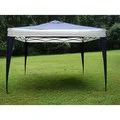 ProGarden Polyester Top/Steel Frame Canopy Tent (10' x 10')
