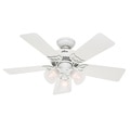 Hunter Fan 42-inch Southern Breeze Ceiling Fan