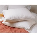 Luxury Soft Goose Down Standard-Size Pillows (Set of 2)