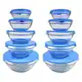 5-piece Nesting Glass Bowl Set with Blue Lids (Pack of 2)