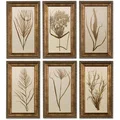 Uttermost Framed Wheat Grass (Set of 6)