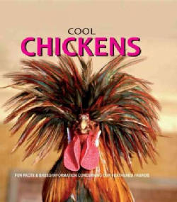 Cool Chickens (Paperback)