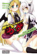 High School DxD: Asia & Koneko's Secret Contract!? (Paperback)