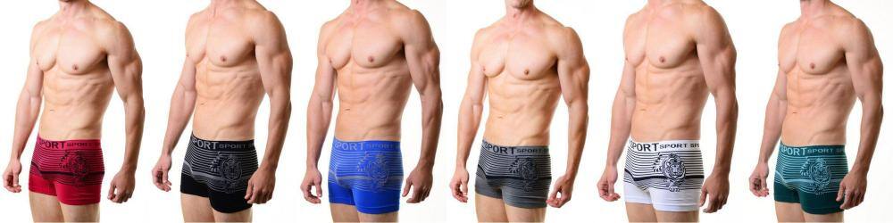 Men's Seamless Boxer Briefs Classic Shorts Shorts Underwear 6-Pack Pattern Tiger(One Size)