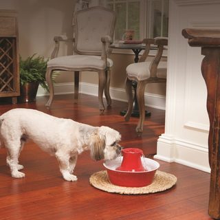 PetSafe Drinkwell Stoneware Avalon Red Dog and Cat Fountain