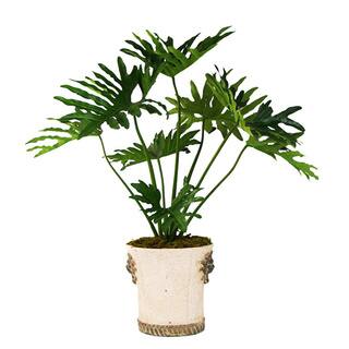 Silk Monstera Tree In an Embellished Ceramic Container