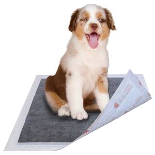 Ultra Absorbent Charcoal Odor Eliminating Anti-skid and Anti-bacterial Diabetic Premium Dog Training Pads