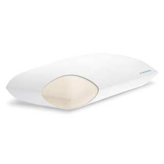 Linenspa Soft Memory Foam Molded Pillow with Washable Cover