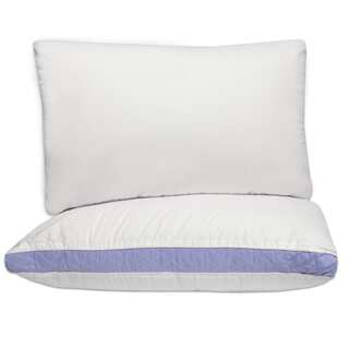 Hypo-Allergenic Extra Firm Cotton Pillows with 2-Inch Quilted Gusset (Set of 2)