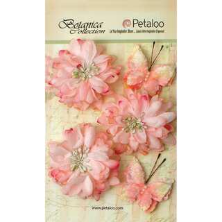 Botanica Mums & Butterflies 2in To 2.5in 5/Pkg Soft Pink