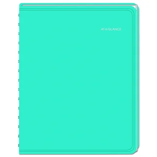 AT-A-GLANCE LifeLinks Professional 8 1/2 x 11 Teal 2016 Weekly/Monthly Appointment Book