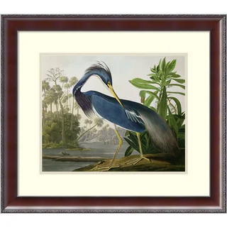 John James Audubon 'Louisiana Heron, from 'Birds of America', engraved by Robert Havell, 1834' Framed Art Print 25 x 22-inch