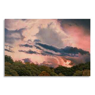 Gallery Direct Jon Eric Narum 'Rose Sunset' Birchwood